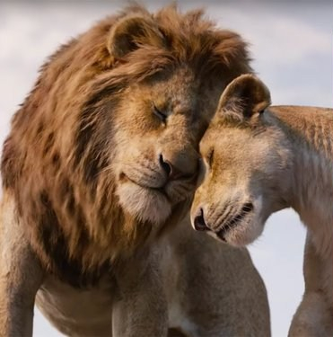 5d32112c36e03c64aa39e436-750-375