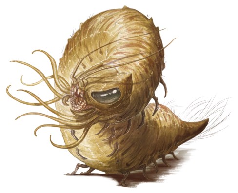 Monster_Manual_5e_-_Carrion_Crawler_-_p37
